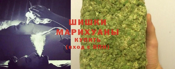 молекула духа Осташков