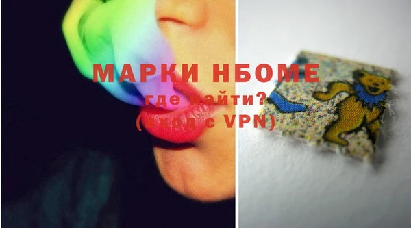 молекула духа Осташков