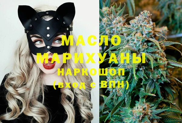 молекула духа Осташков