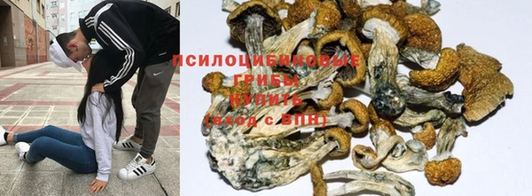 герыч Осинники