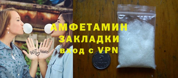 молекула духа Осташков