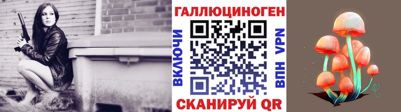Псилоцибиновые грибы Psilocybe  наркошоп  Тулун 