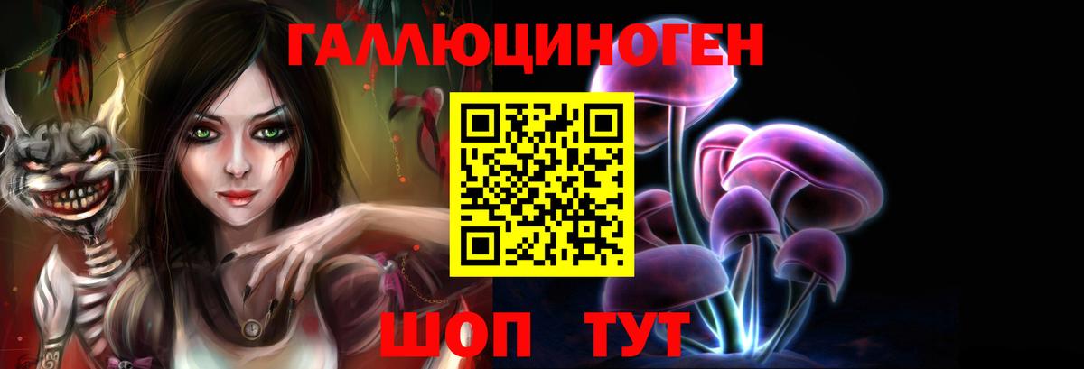 Тулун  Галлюциногенные грибы ЛСД  Вход с VPN  Псилоцибиновые грибы мухоморы 
